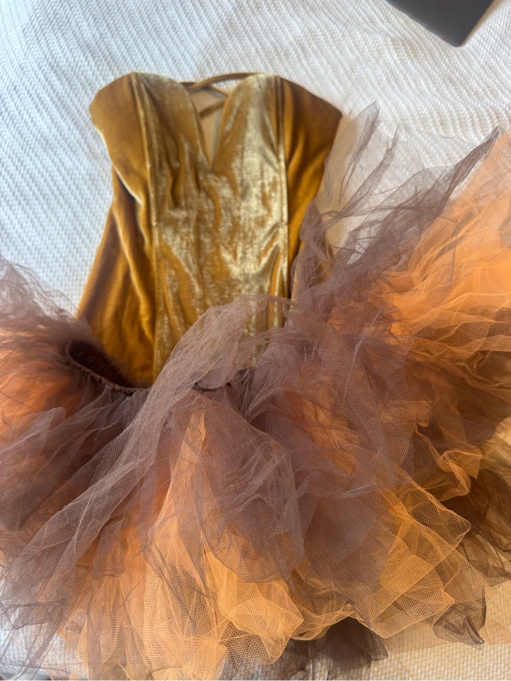 Lion Costume / tutu